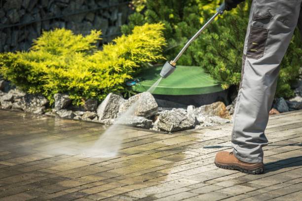 Best Pre-Holiday Cleaning  in Memphis, TN