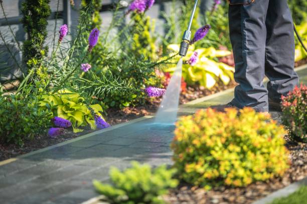 Best Driveway Pressure Washing  in Memphis, TN